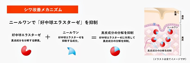 ニールワン